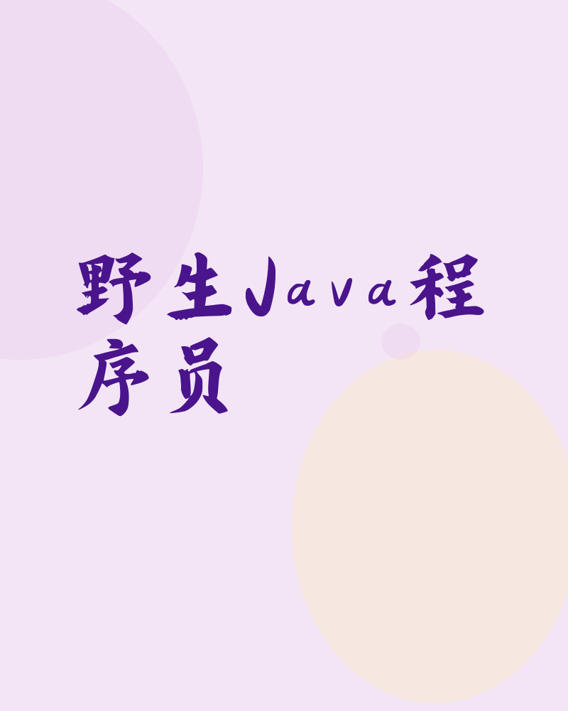 野生Java程序员