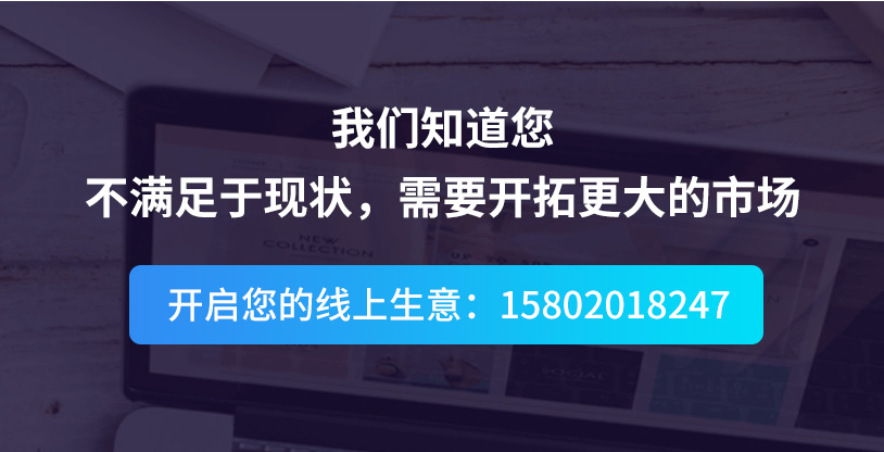 網站建設, 電商網站, B2C商城, 分銷商城