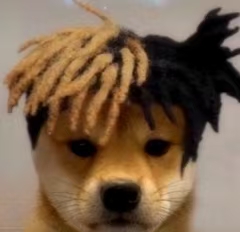 头像