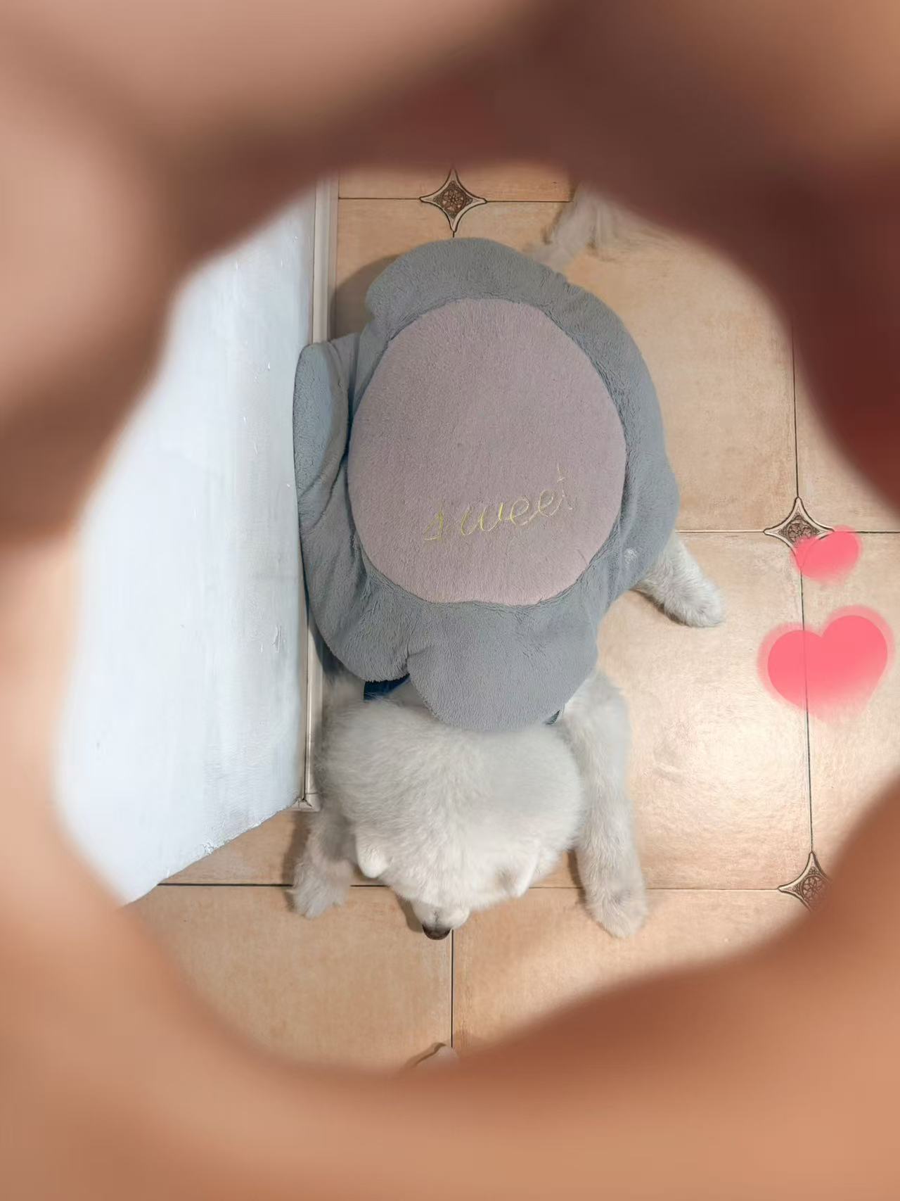头像