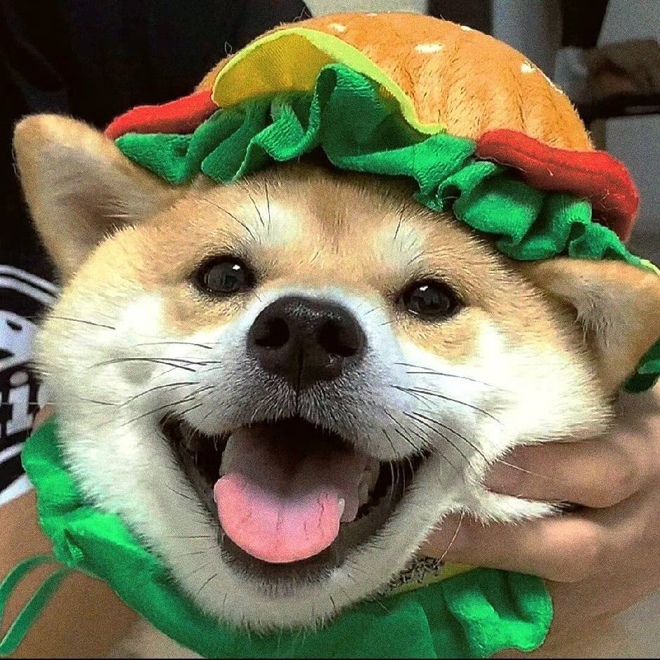 头像
