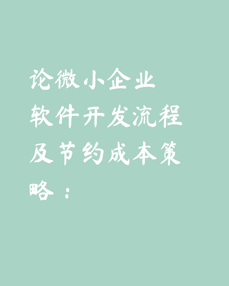 论微小企业软件开发流程及节约成本策略：