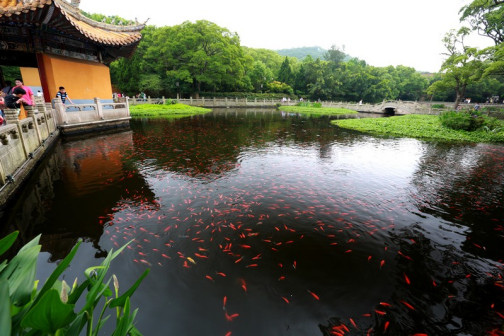 普济寺