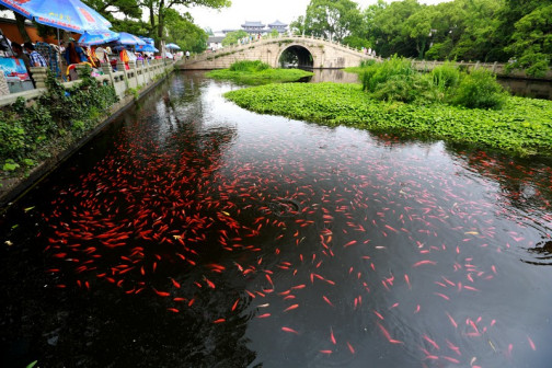 普济寺