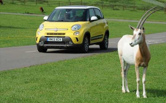 Fiat 500L Trekking