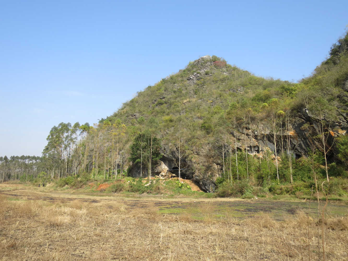 青塘遗址风光