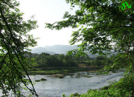 九华山风景图