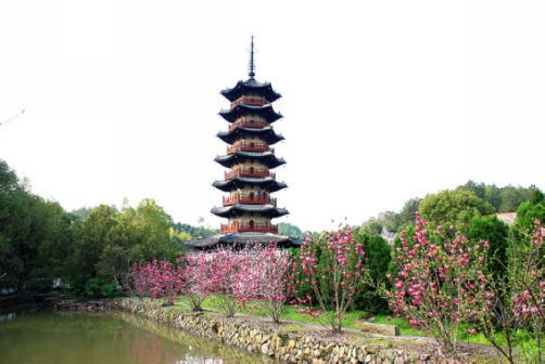 松阳延庆寺塔