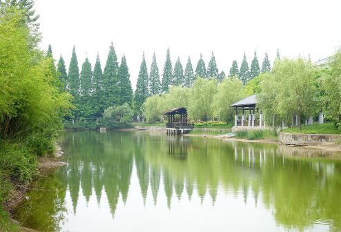 江苏黄海海滨国家森林公园高清组图