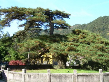 九华山风景图