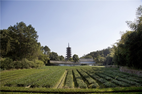 松阳延庆寺塔