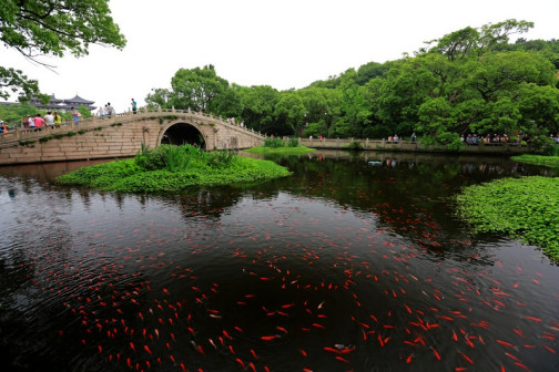 普济寺