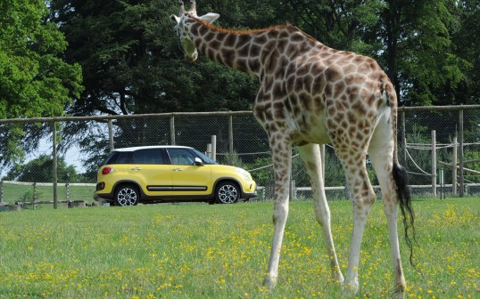 Fiat 500L Trekking