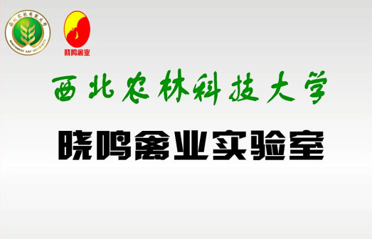 西北农林科技大学晓鸣禽业实验室