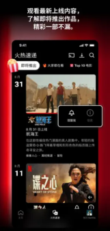 Netflix iOS预览图