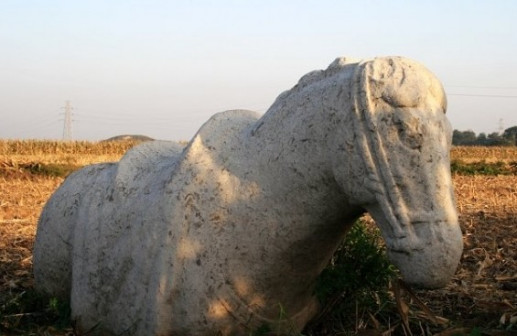 兴宁陵仗马