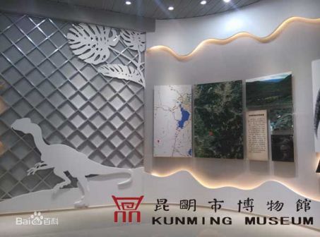 恐龙化石展