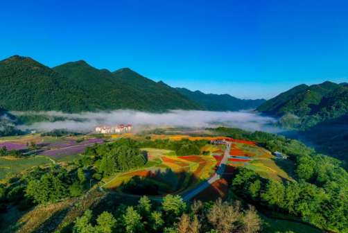 重庆红池坝国家森林公园风景图