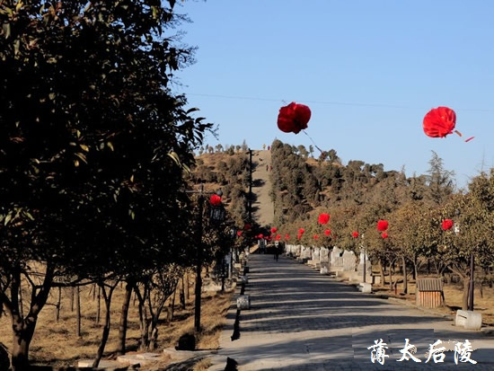 薄太后陵风景