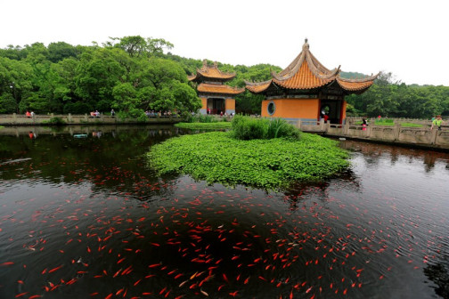 普济寺