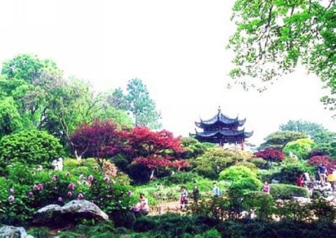 [西湖十景]花港观鱼