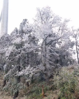 大容山冰景