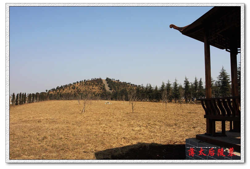 薄太后陵风景